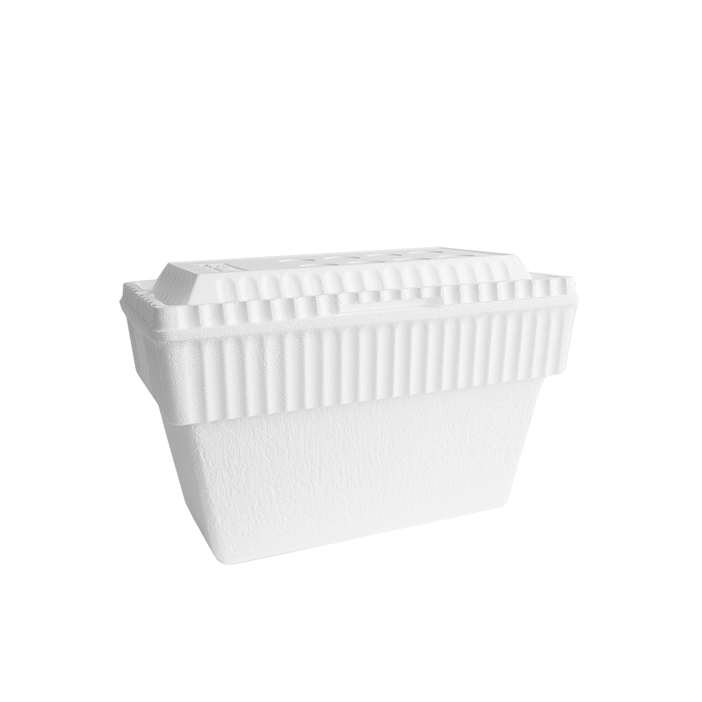 Lifoam White 24 Can Nested Cooler - Detachable Lid, Hard Rotomolded  Construction, BPA-Free, Chest Cooler for Drinks and Food in the Portable  Coolers department at